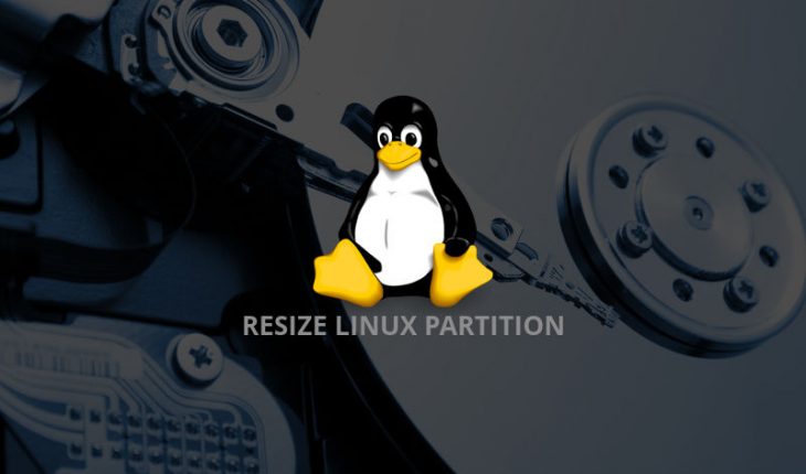 resize-linux-partition-ext4